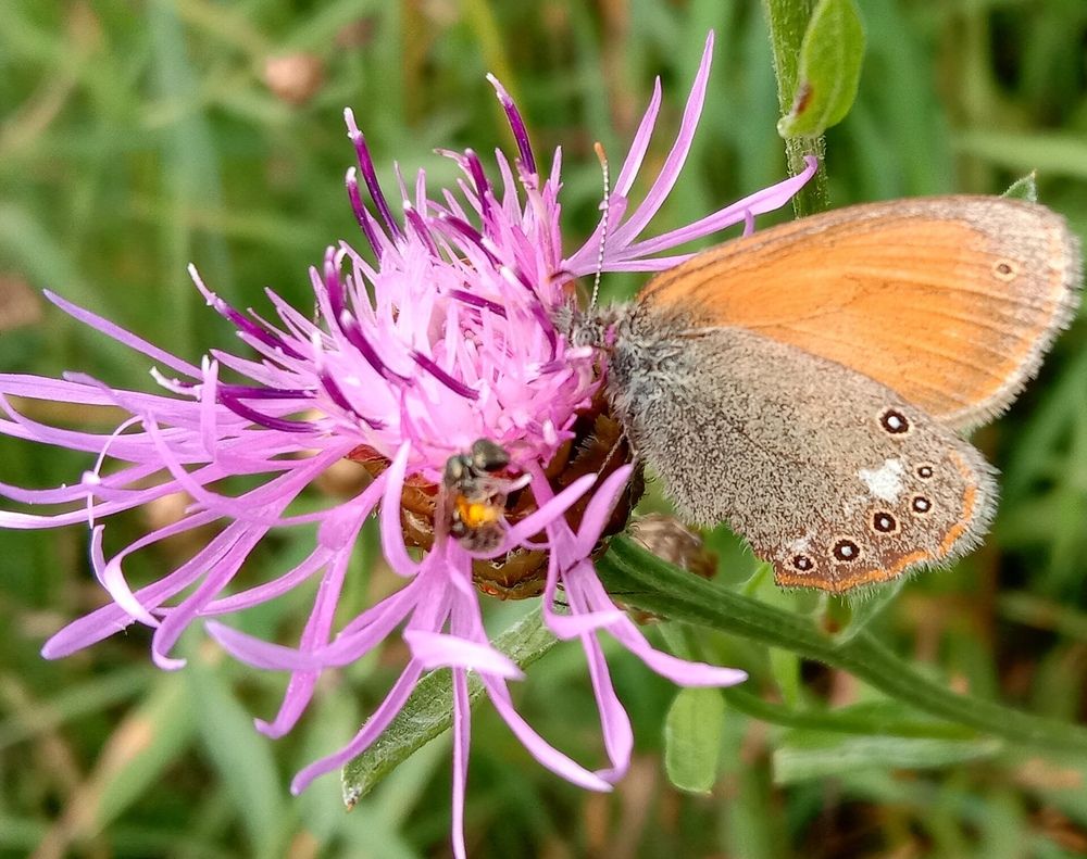 Photograph by Светлана Васильева