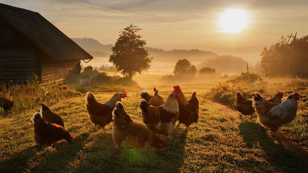 Photograph by Лериана