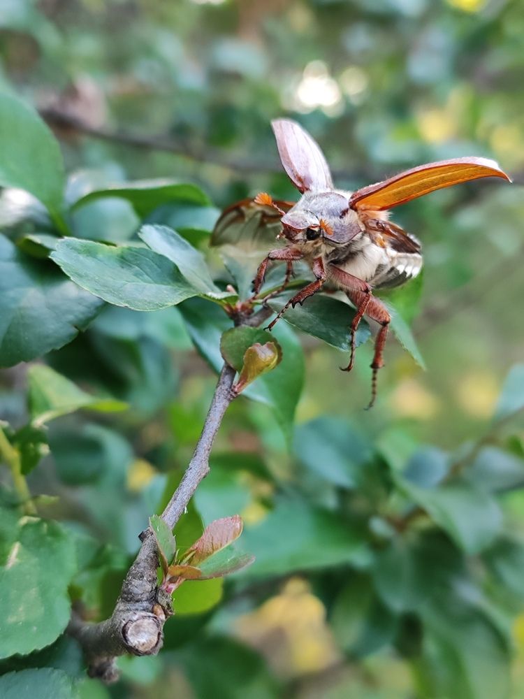 Photograph by Екатерина Борисовна Кузьмина