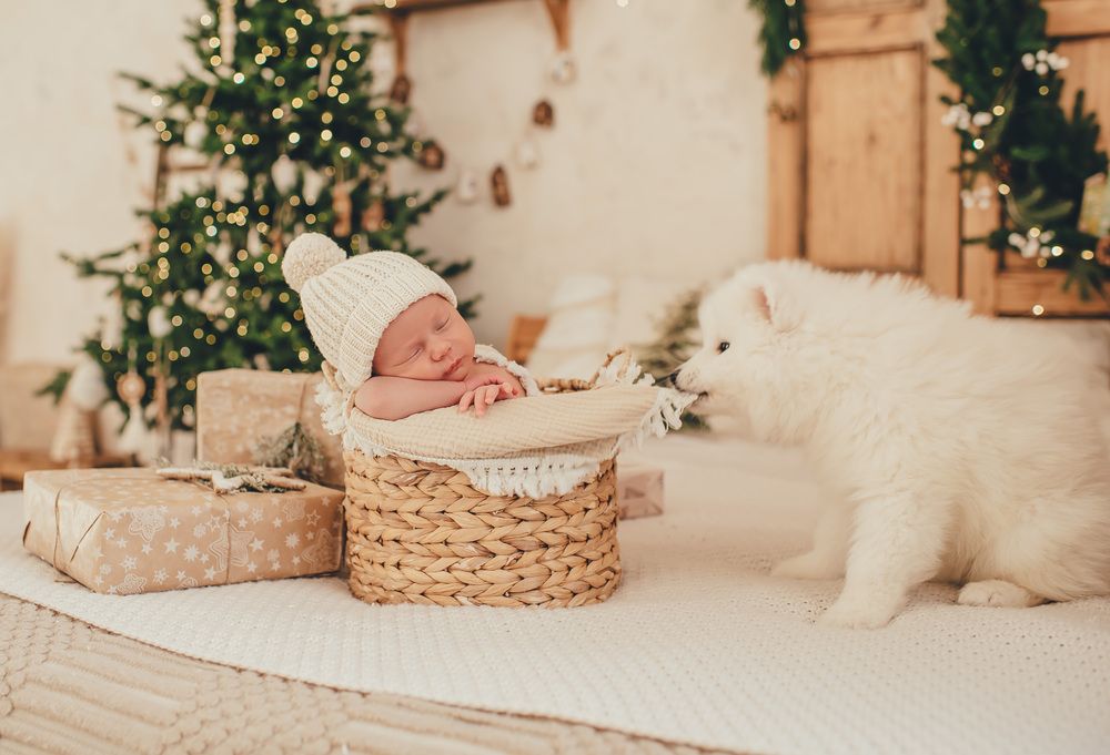 Photograph by Евгения Петрова