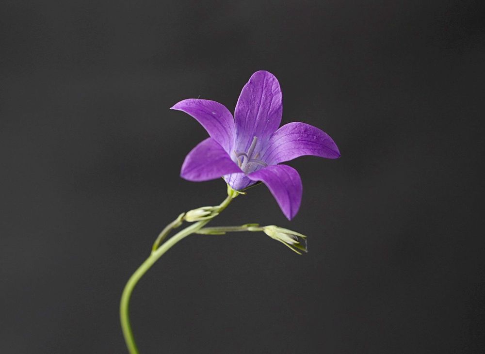 Photograph by Светлана Семенова