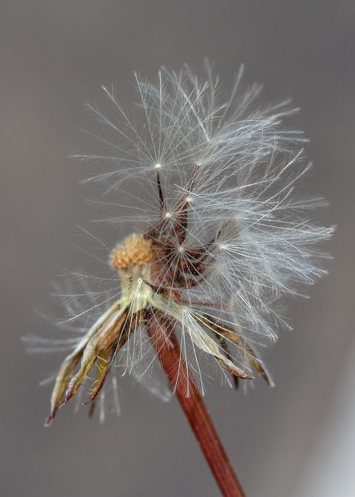 Photograph by Зоя Эль