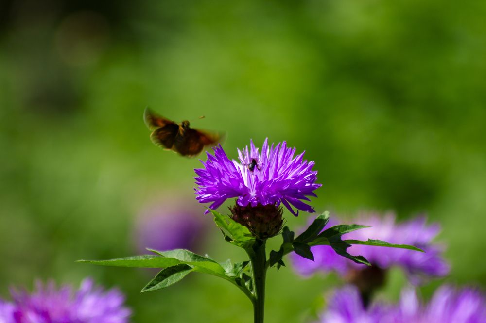 Photograph by Илья Юриков