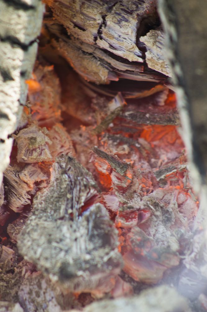 Photograph by Илья Юриков