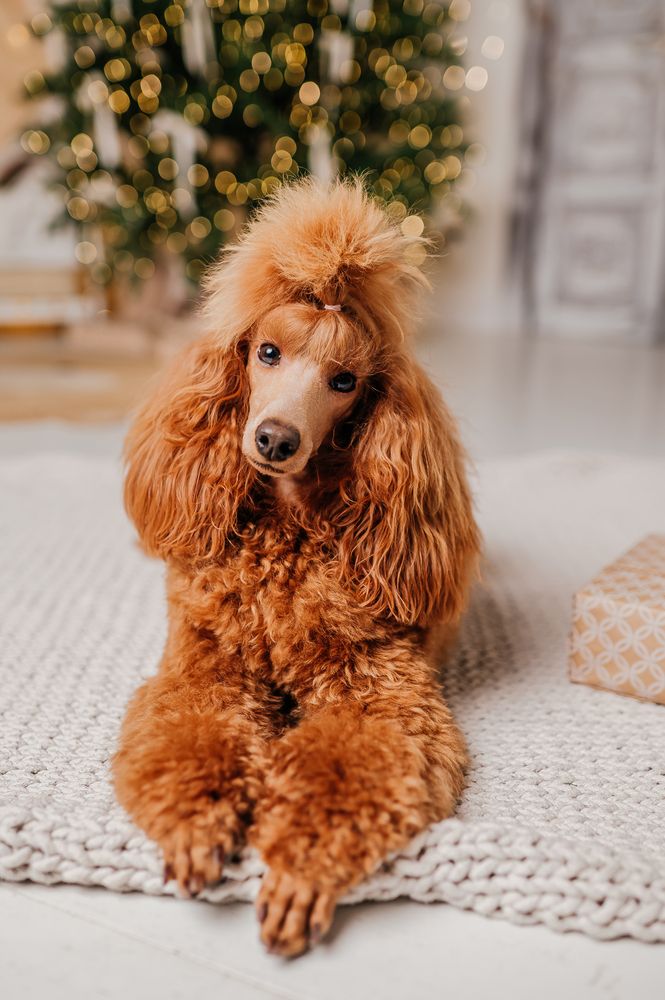 Photograph by Евгения Петрова