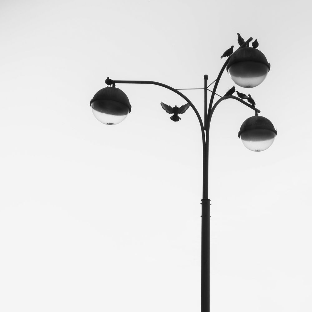 Фотография автора Анастасия Зайчуковская