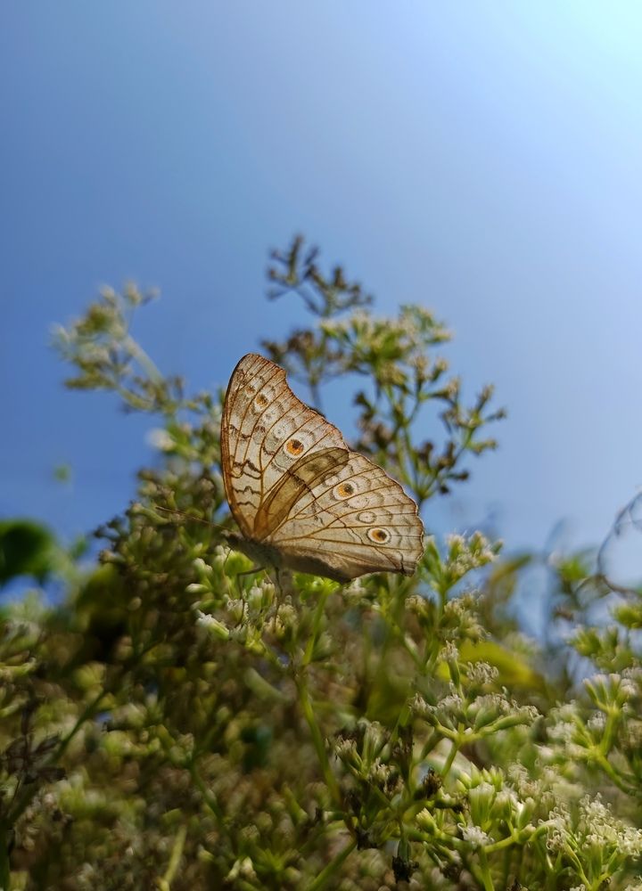 Photograph by Amin Ullah Nayem