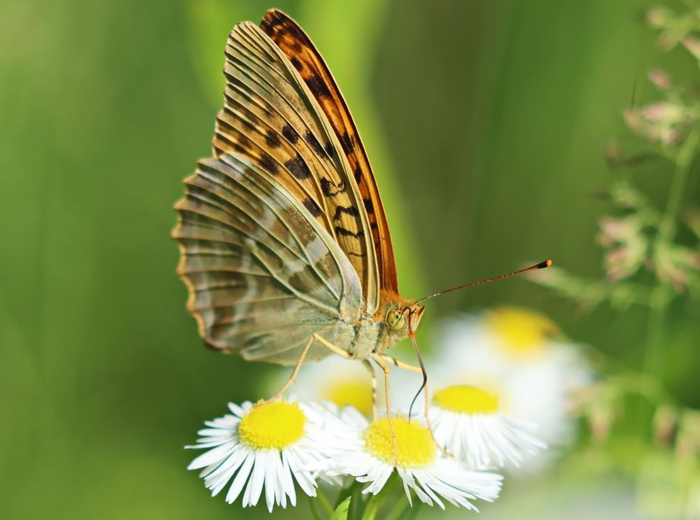 Photograph by Сергей Маслов
