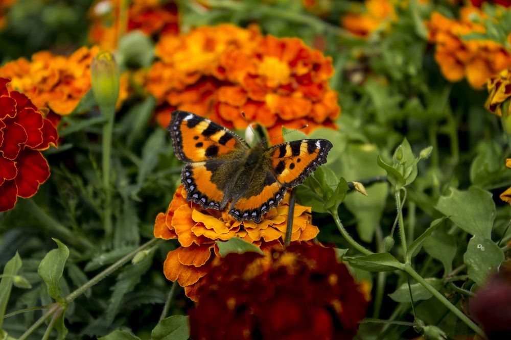 Photograph by Илья Юриков