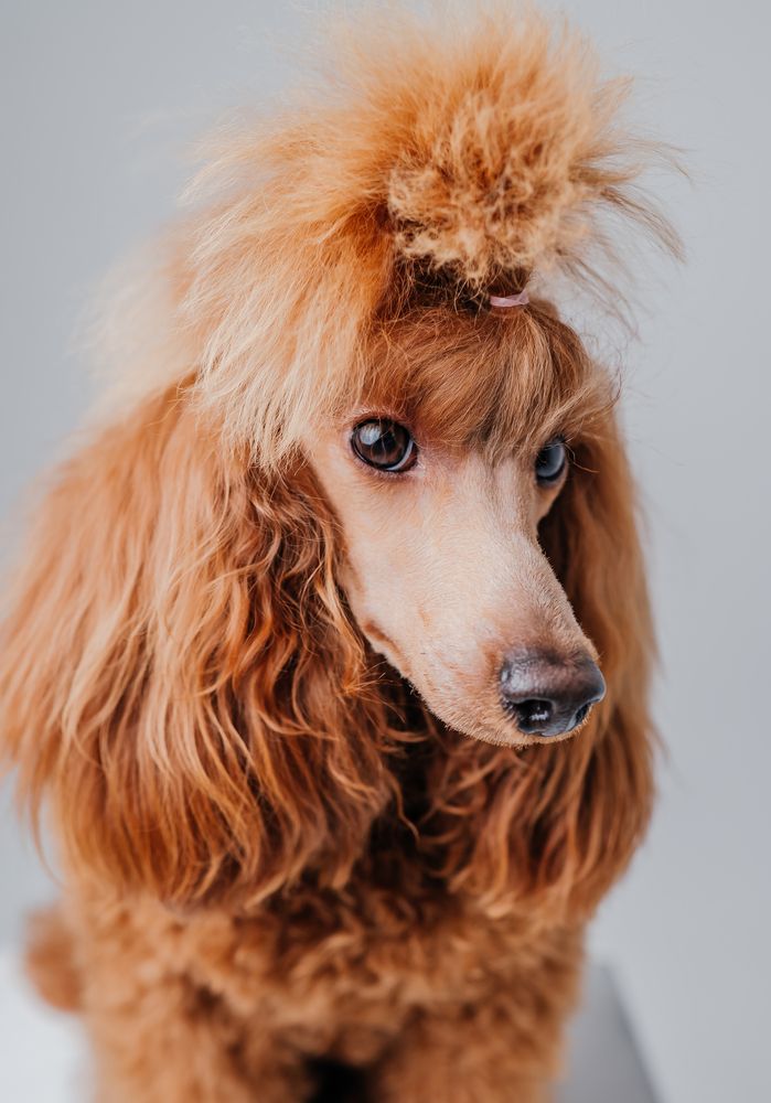 Photograph by Евгения Петрова