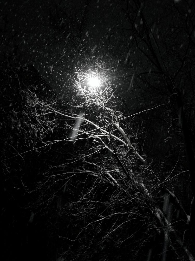 Photograph by Валерия Коваленкова