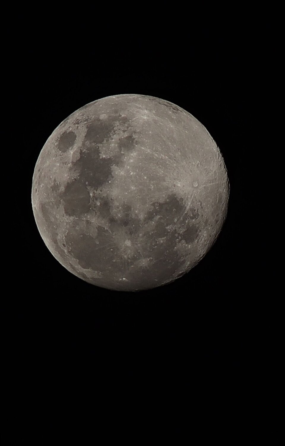 Photo #11909088
