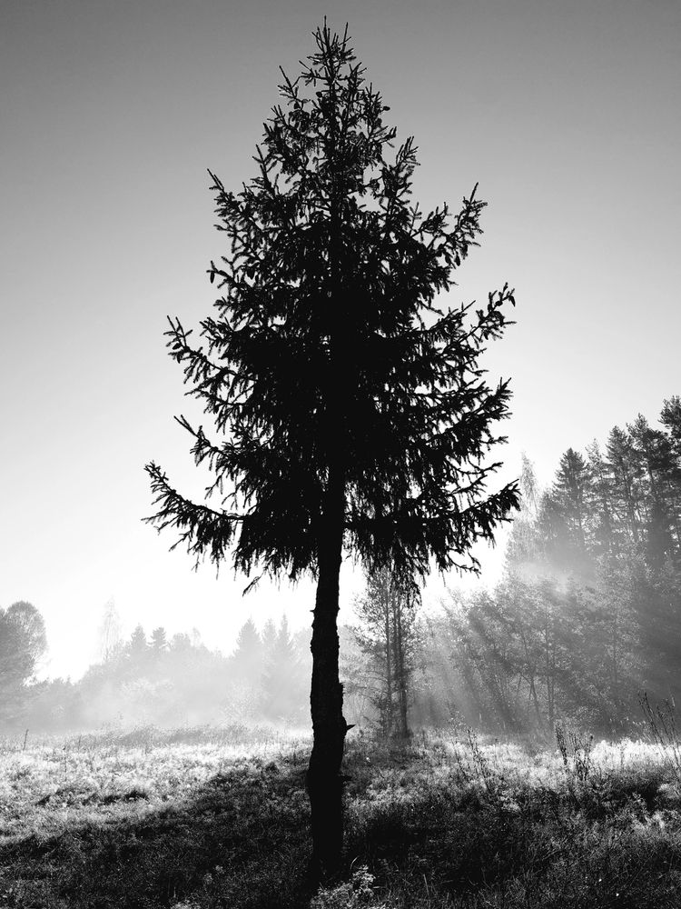 Photograph by Инна