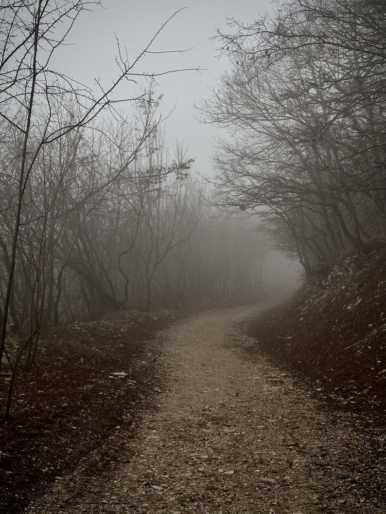 Photograph by Лилия Эссерт