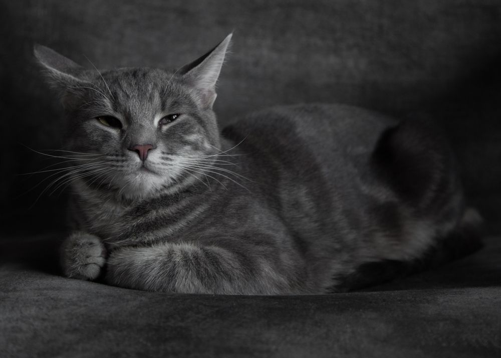 Photograph by Сергей Алексеев