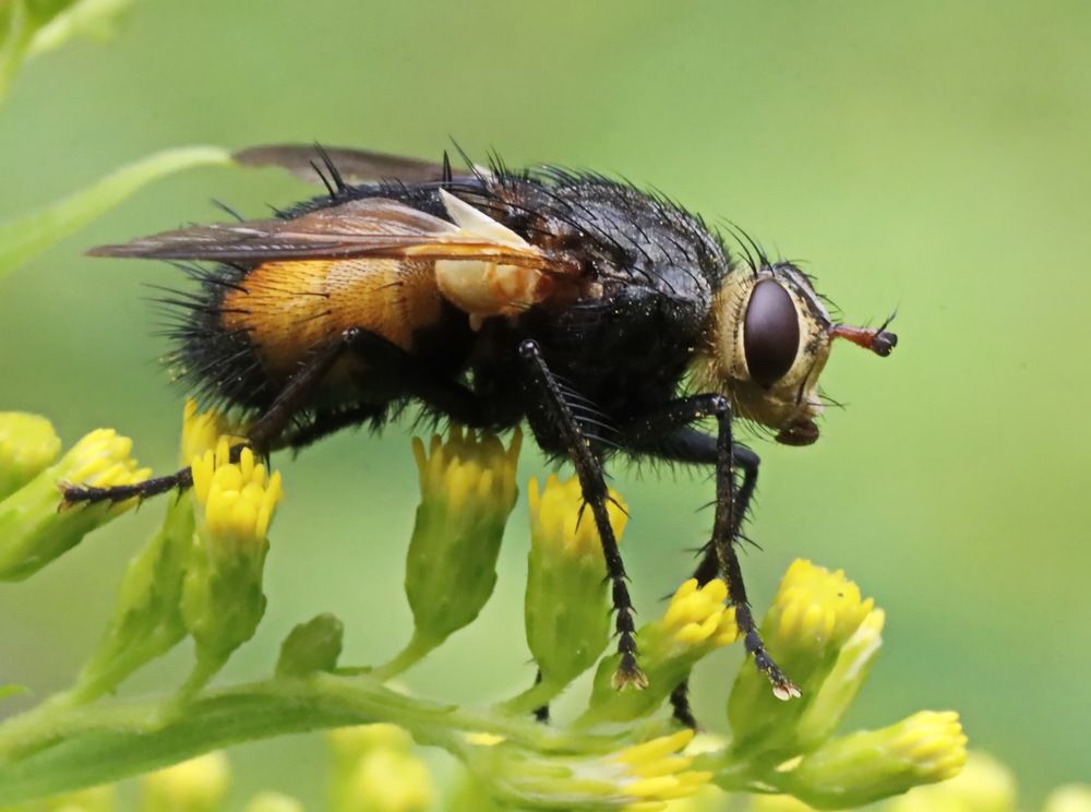 Photograph by Сергей Маслов