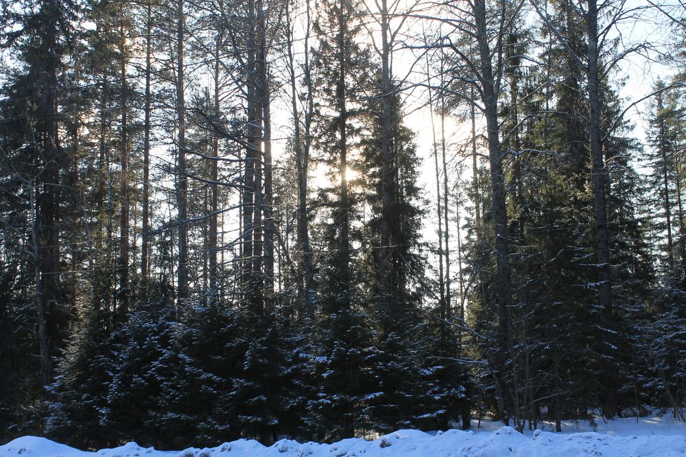 Photograph by Илья Юриков