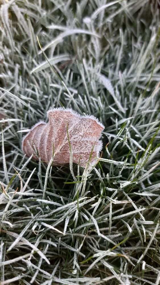 Photograph by sameera madushantha