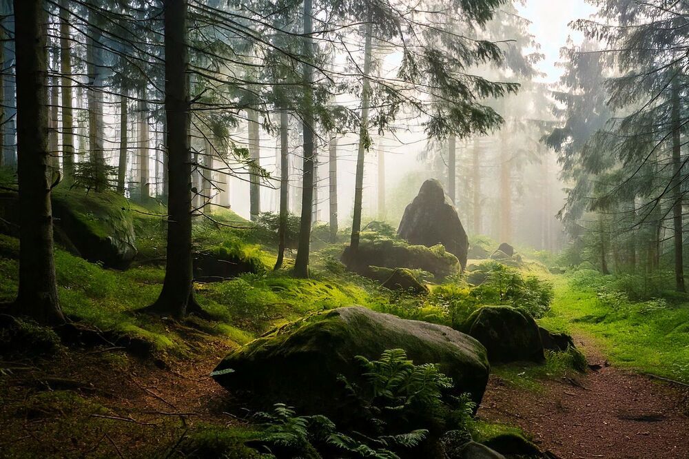 Photograph by Александр К