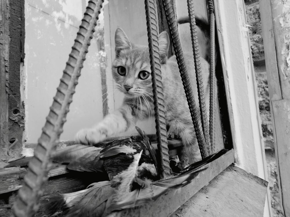 Photograph by Валерия Коваленкова
