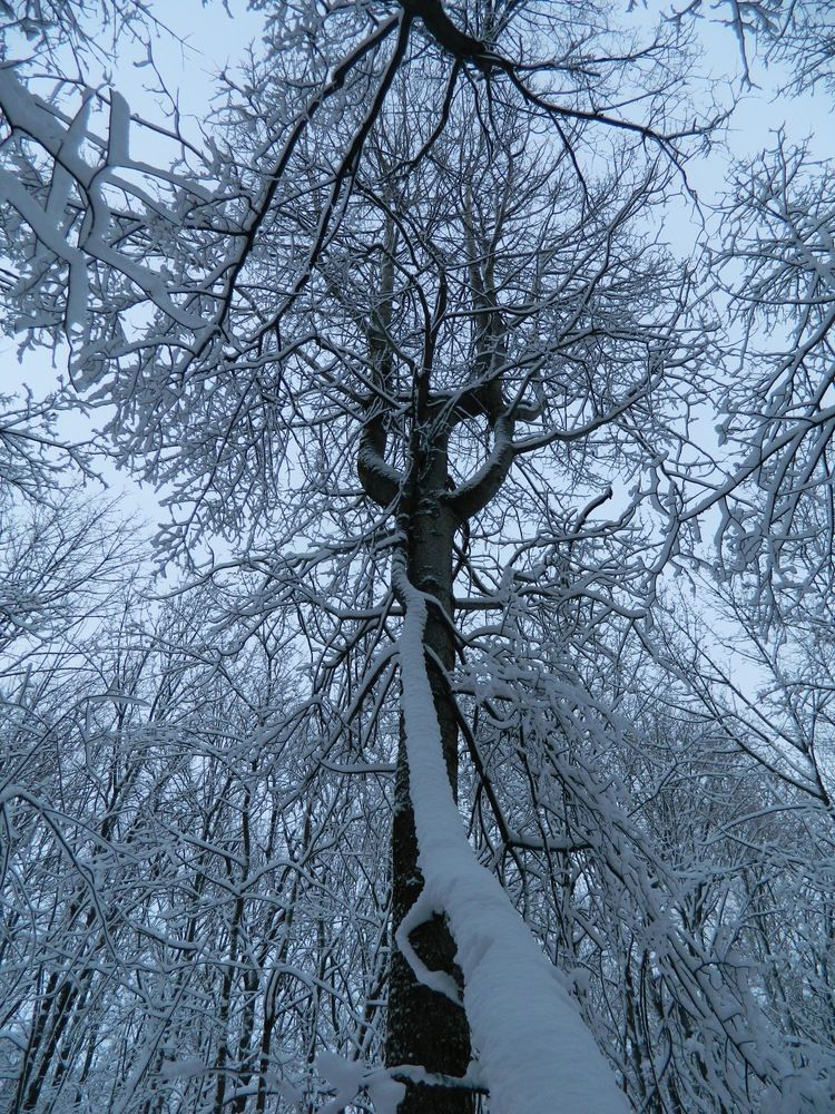 Photograph by Виктория Подрезова