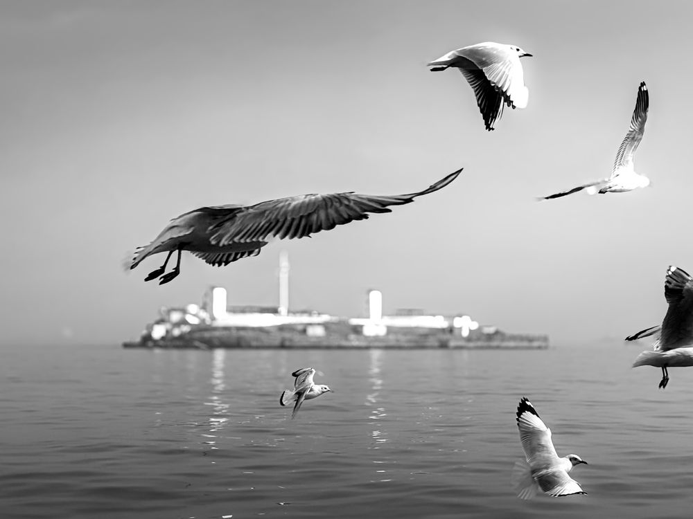 Photograph by Rohit Tonapi