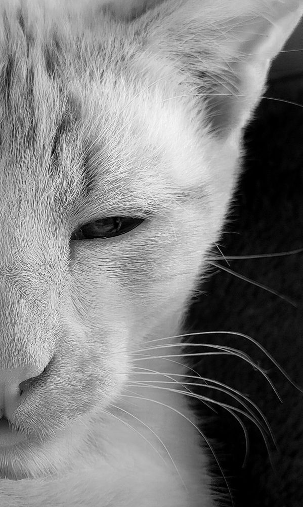 Photograph by Rohit Tonapi