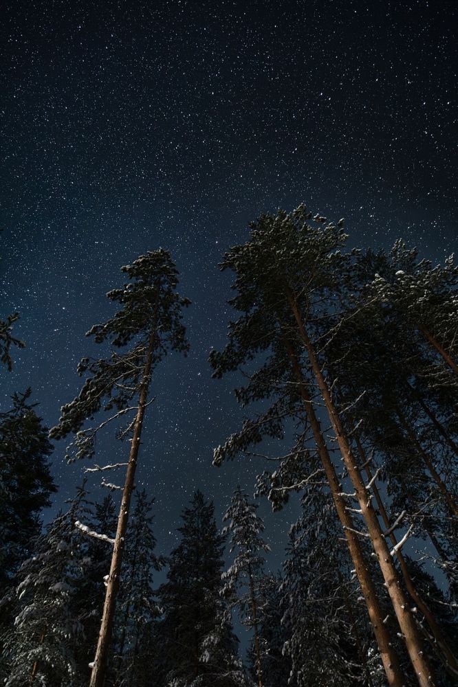 Photograph by Игорь Семеновский