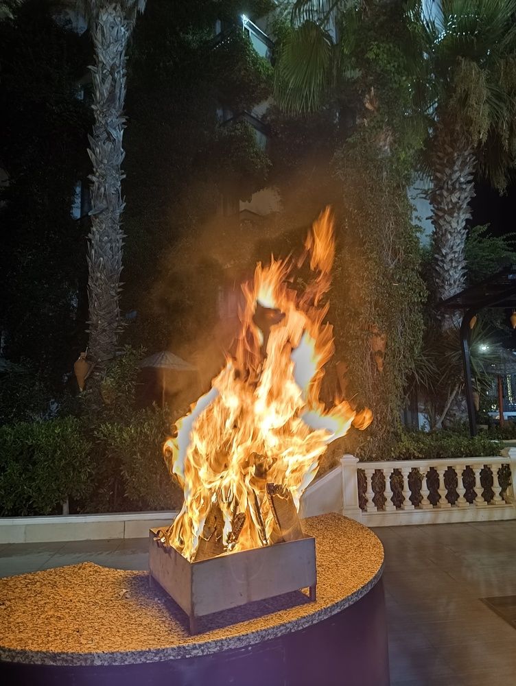 Фотография автора Елена Александрова