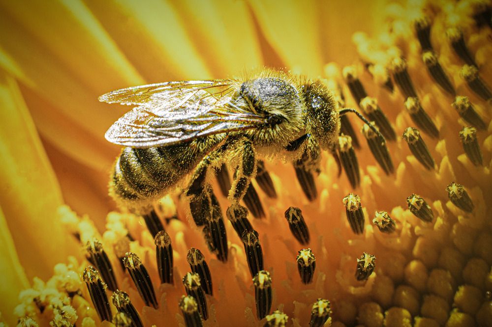 Photograph by Дарья Улюсова