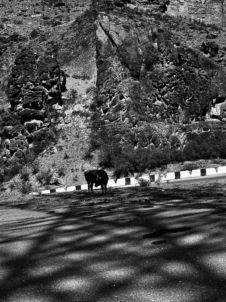 Photograph by Vladimir Petukhov