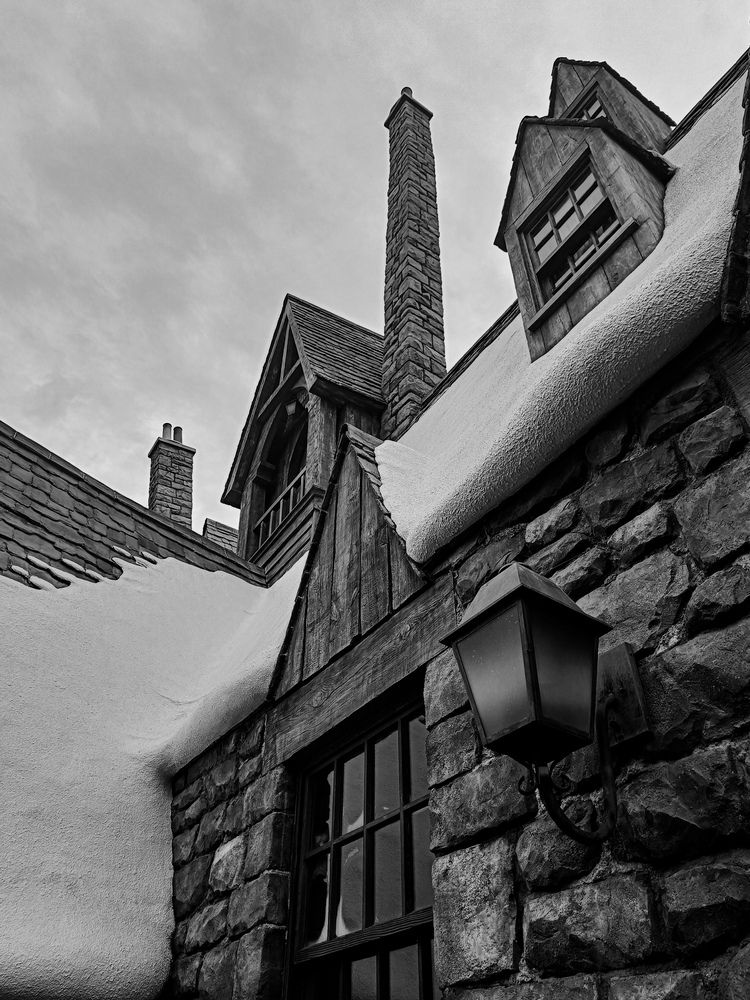 Фотография автора Анастасия Зайчуковская