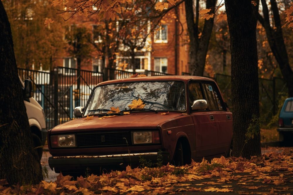 Фотография автора Михаил Михеев