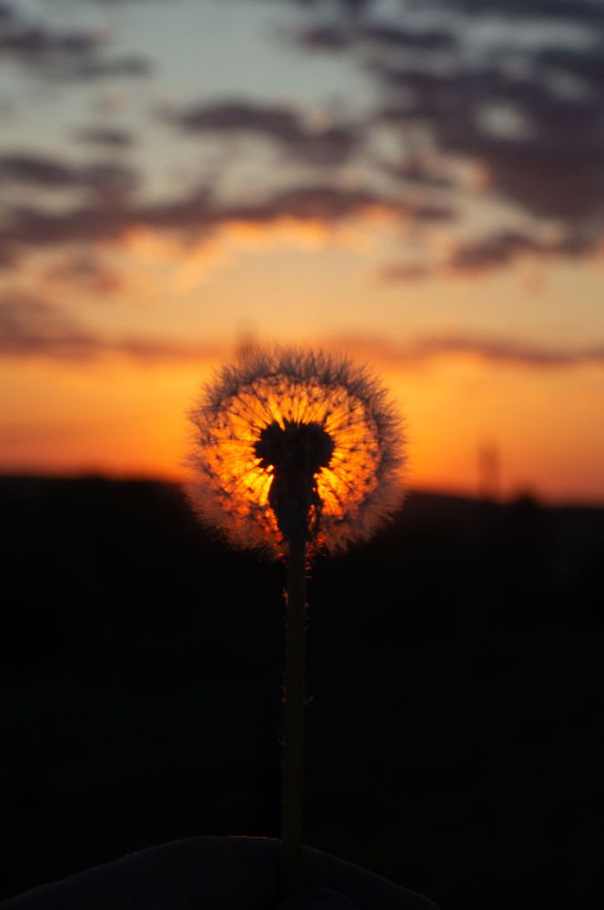 Фотография автора Михаил Михеев