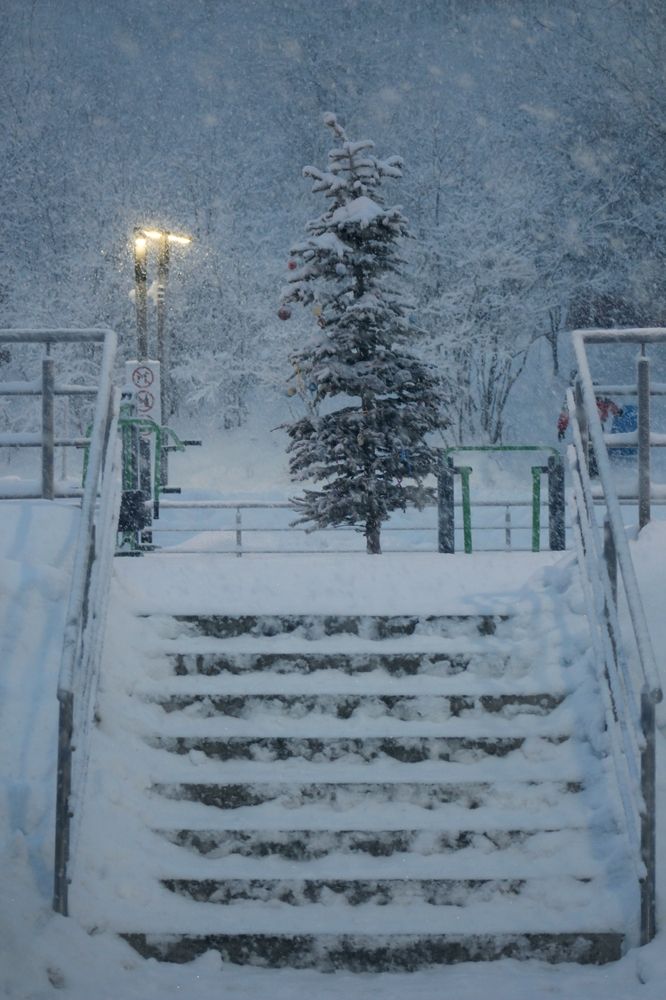 Снежное настроение...