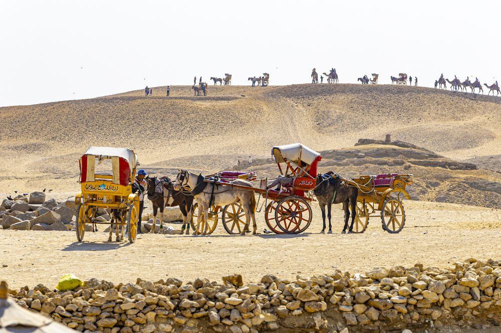 Египет.Гиза.