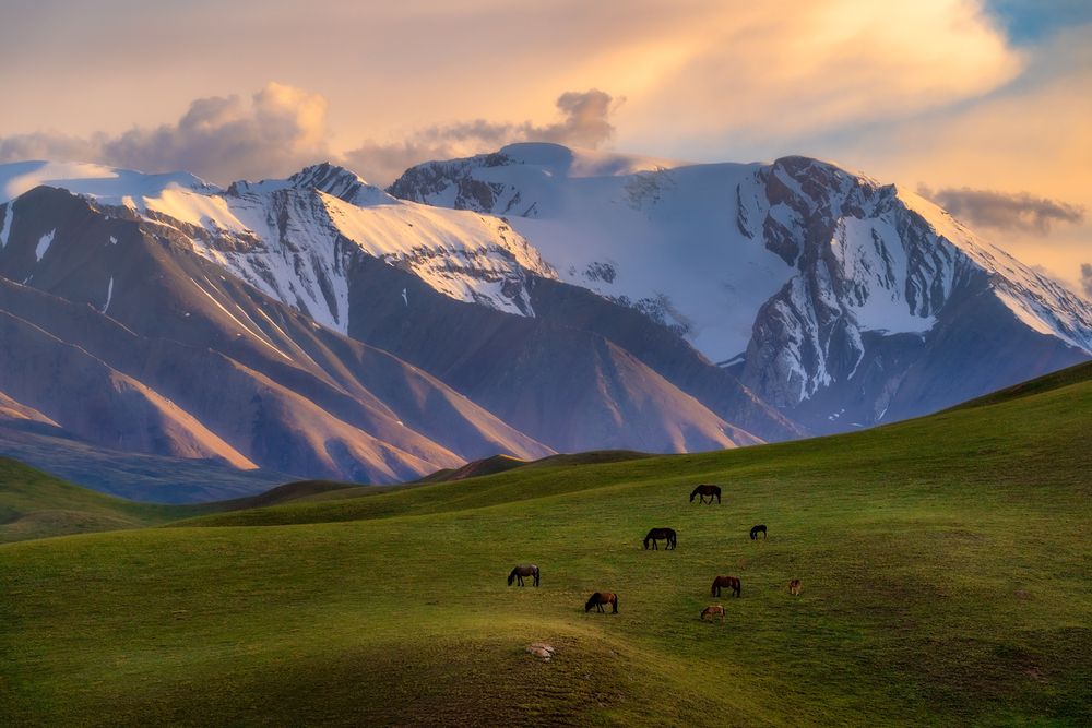 Photograph by Сергей Межин