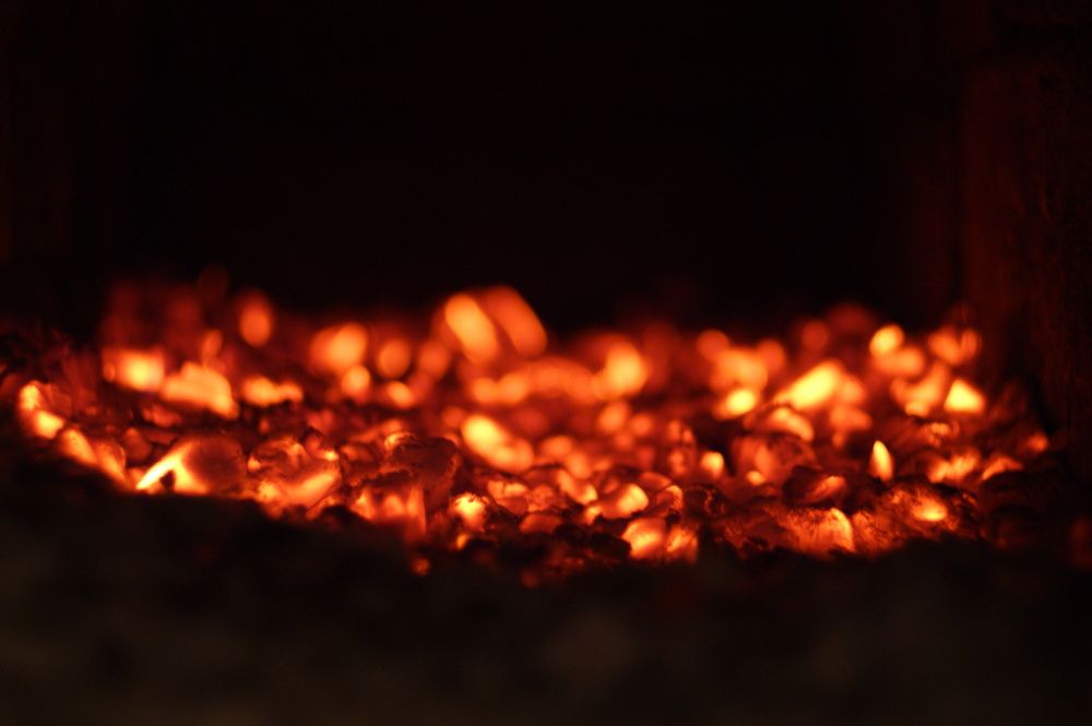 Photograph by Елена