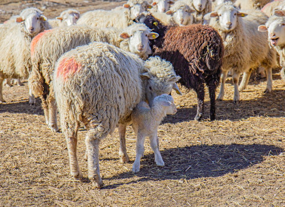 Photograph by Елена Павлова