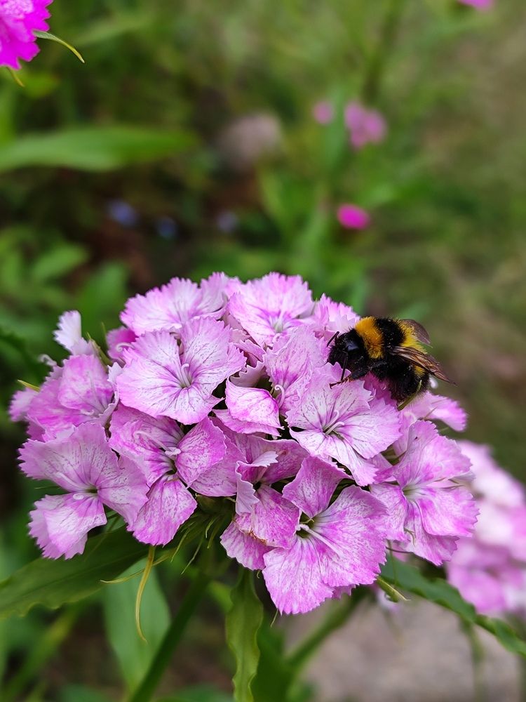 Photograph by Екатерина Борисовна Кузьмина