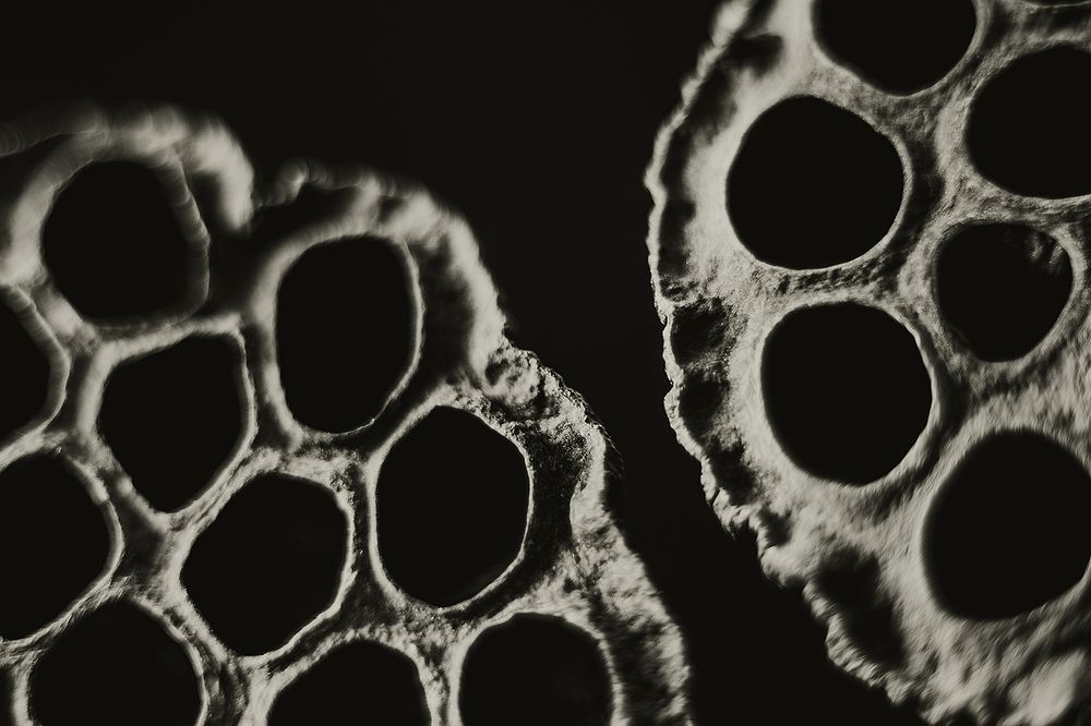 Photograph by Сергей Скопинцев