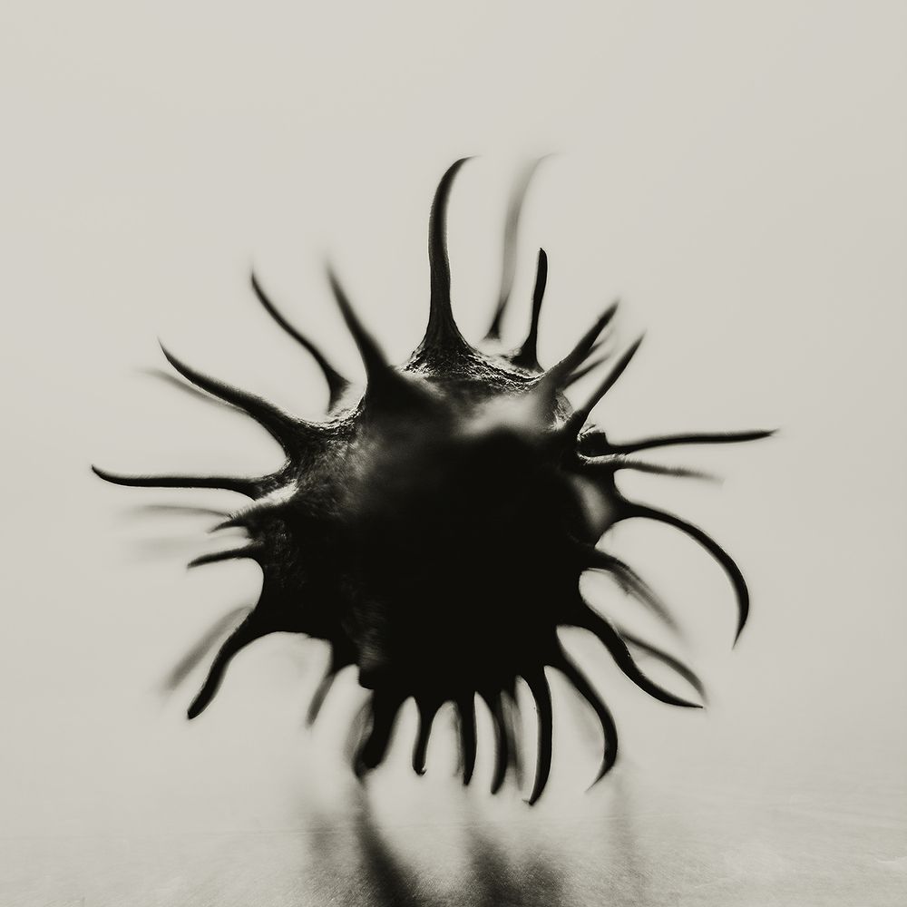 Photograph by Сергей Скопинцев