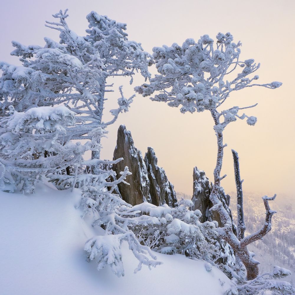 Photograph by Сергей Межин