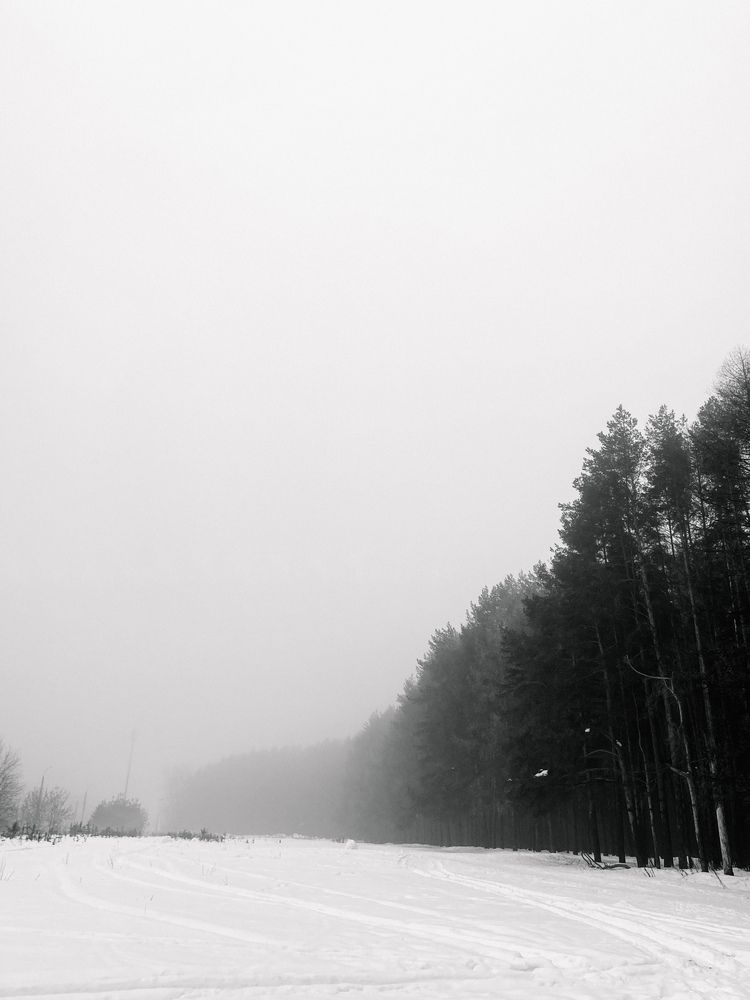 Photograph by Алена Алексеева