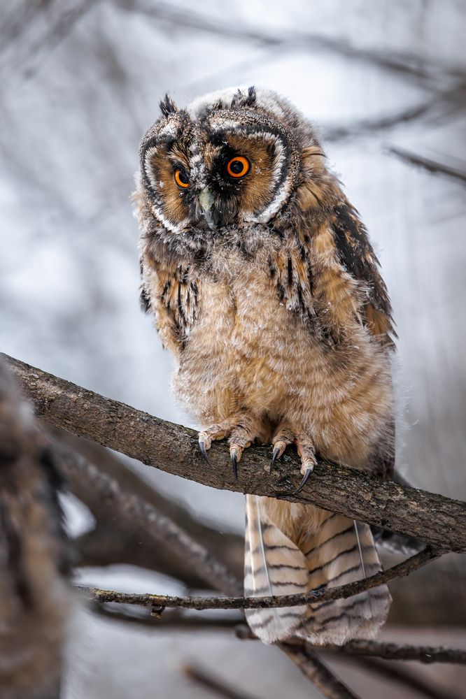 Photograph by Антон Науменко