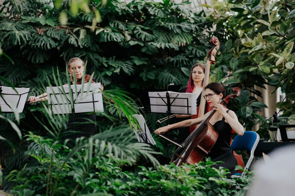 Photograph by Сафронова Любовь