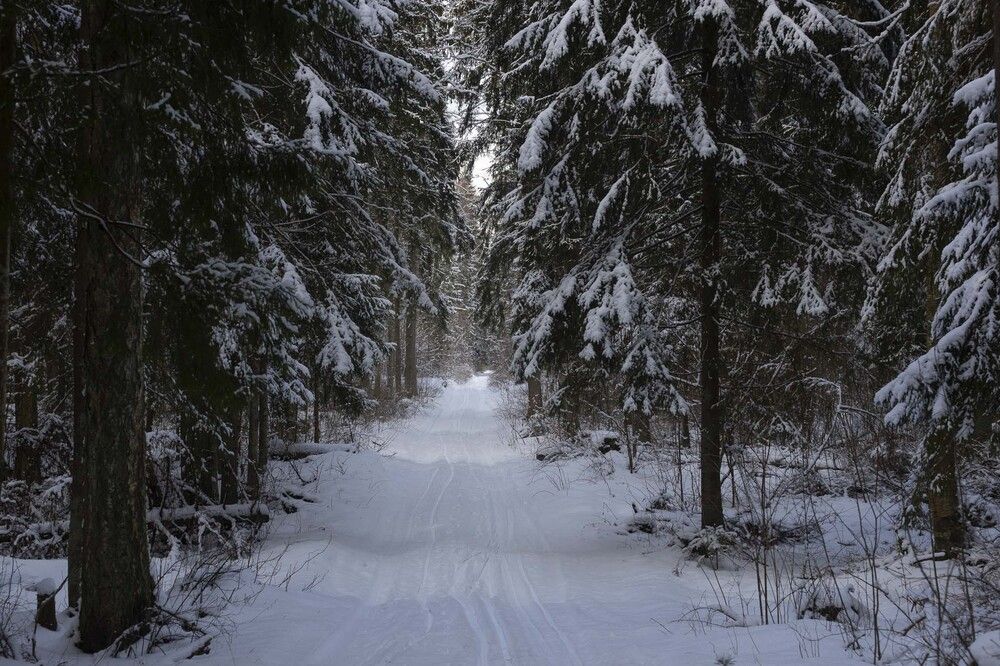 Photograph by Наталья Катюжанская