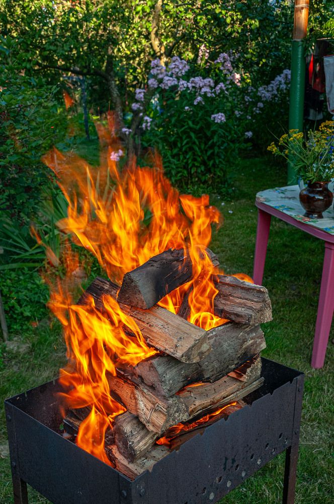 Photograph by Vladimir  Komarov