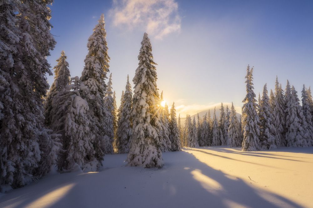 Photograph by Сергей Межин