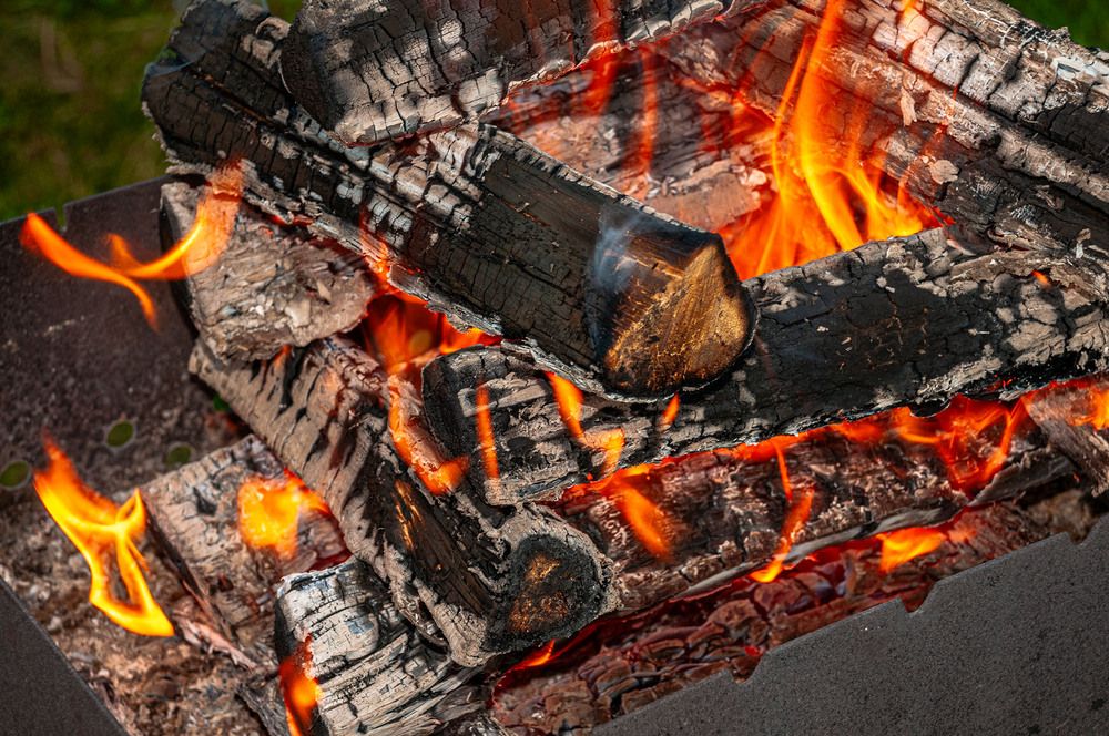 Photograph by Vladimir  Komarov